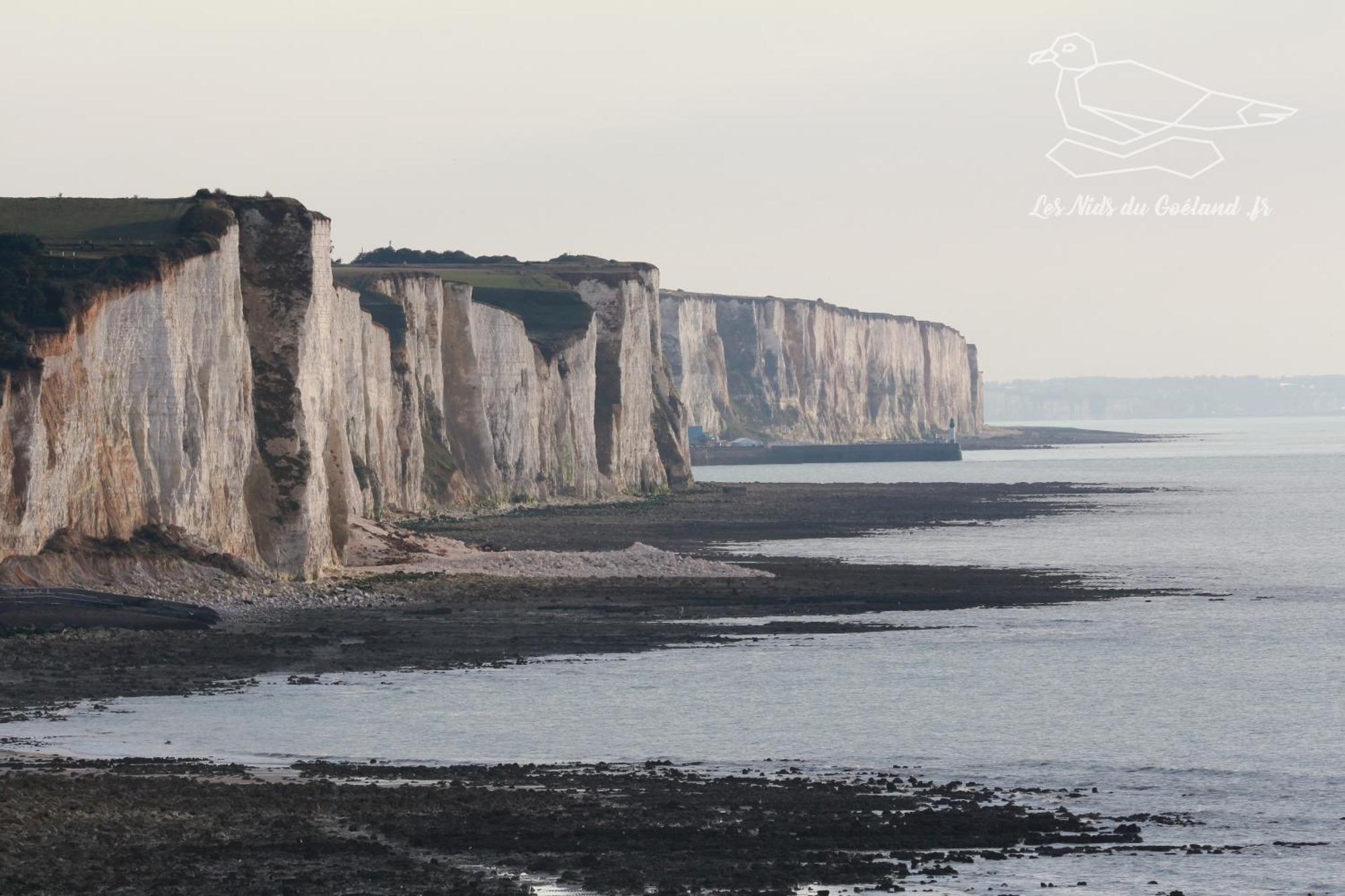 Gite Oasis Ault - Cine, Balneo & Confort A La Mer Exteriör bild